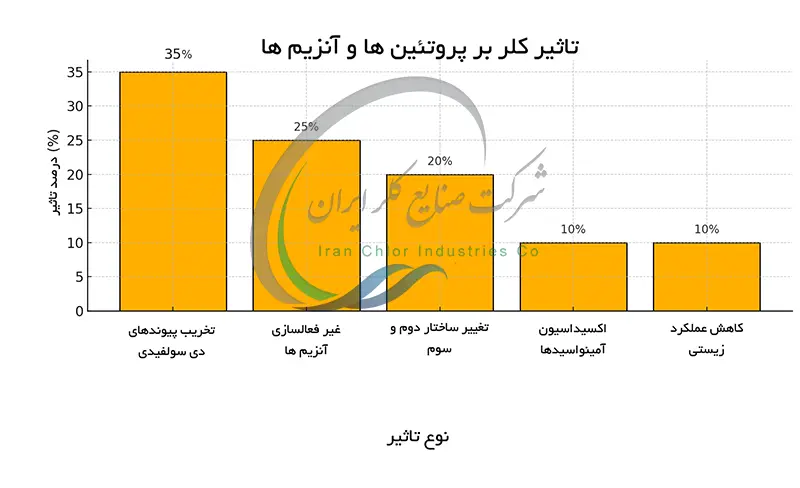 تاثیر کلر بر پروتئین ها و آنزیم ها